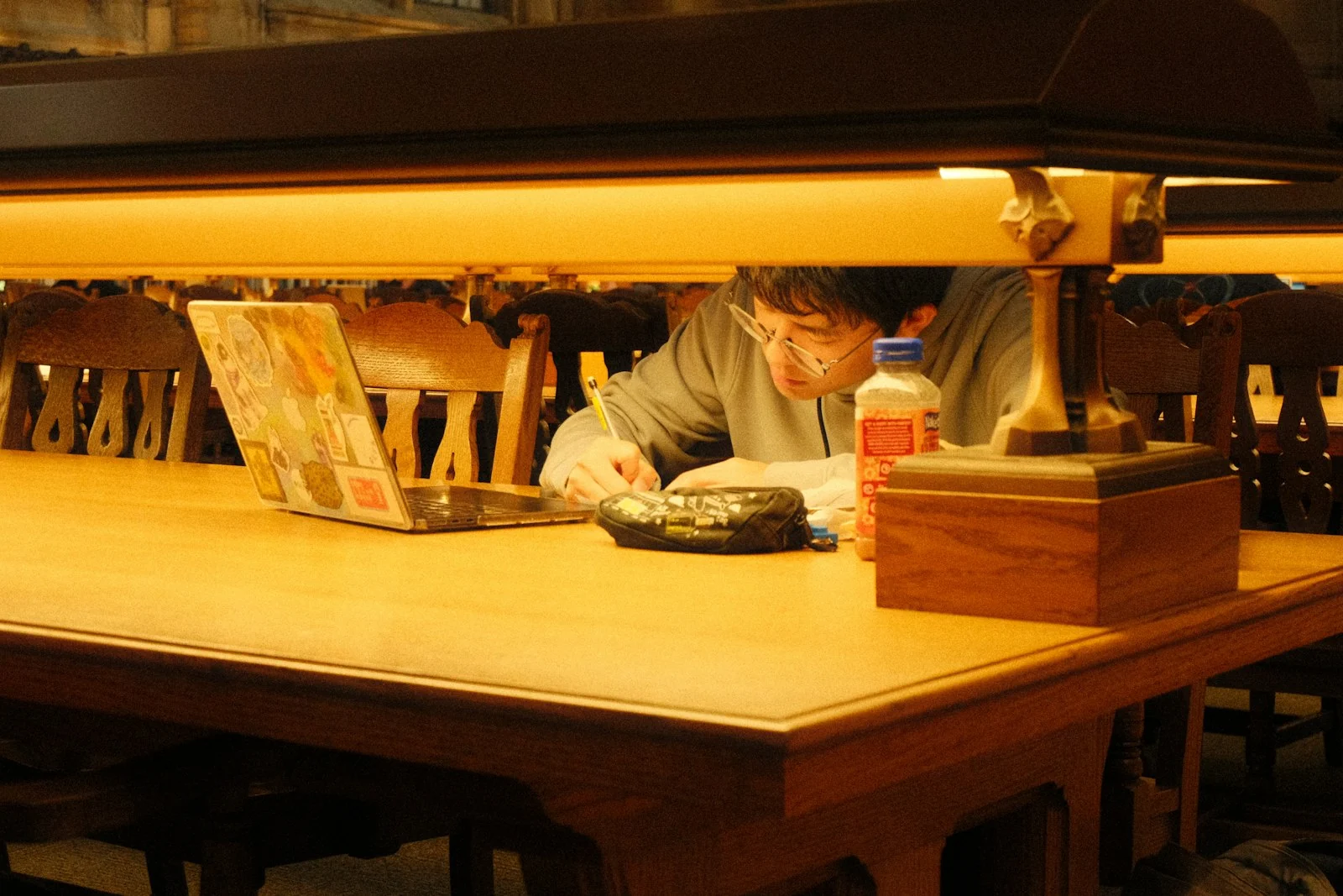 Student reviewing course information